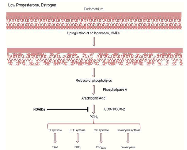 drug-production