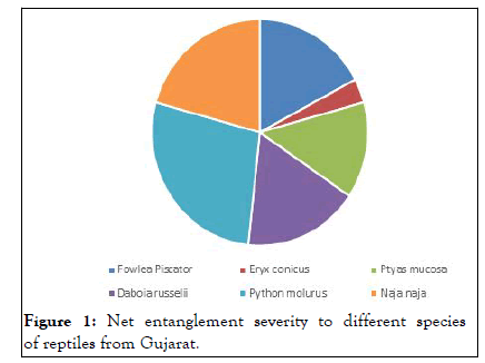 entomology-ornithology-color