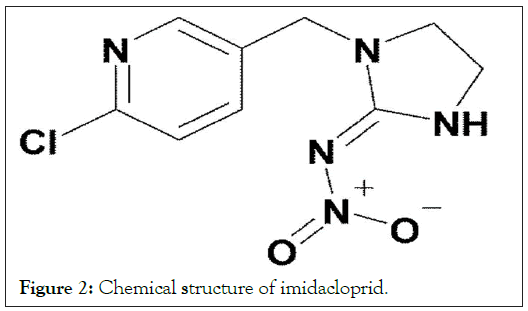 imidacloprid