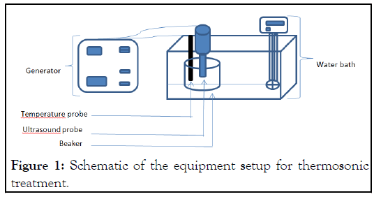 thermosonic