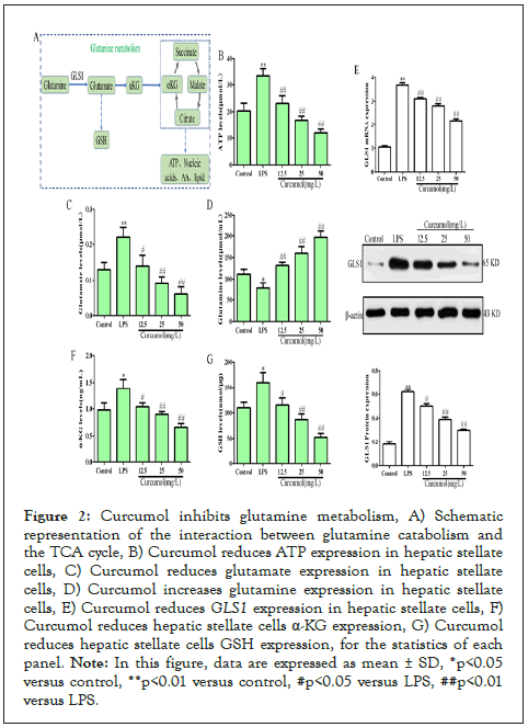 immunological-disorders-inhibits