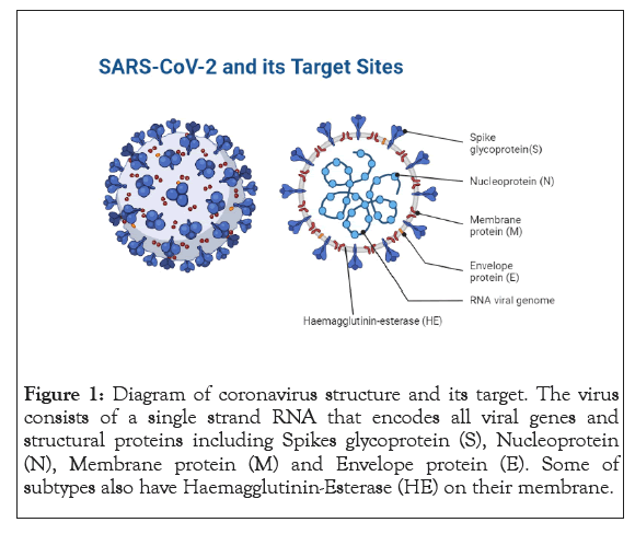 immunome-eesearch