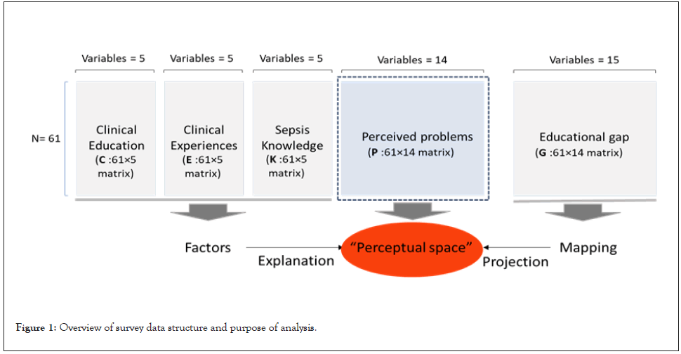 internal-medicine-analysis