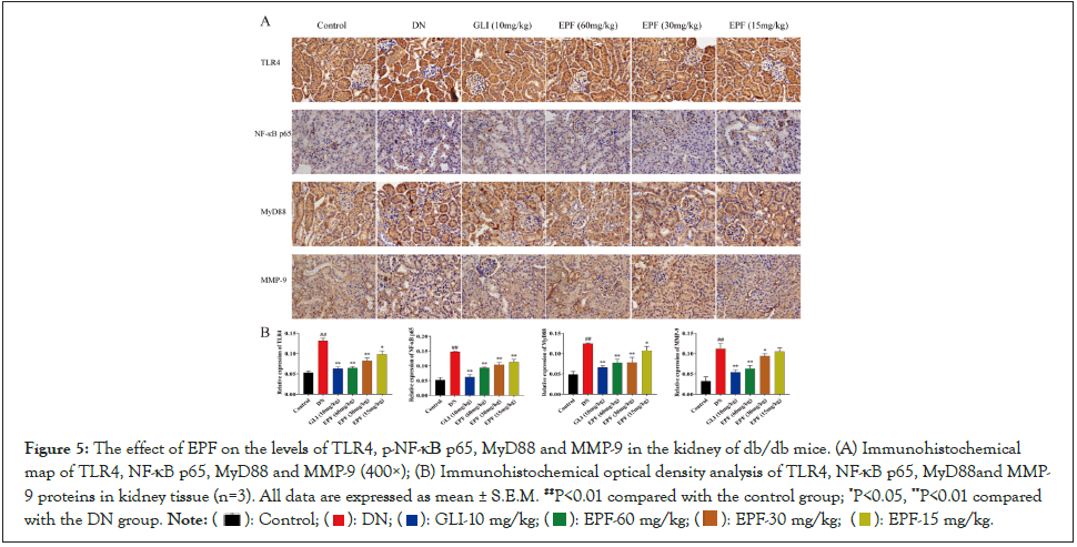 internal-medicine-proteins