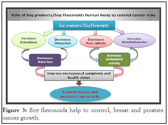 jnfs-Soy