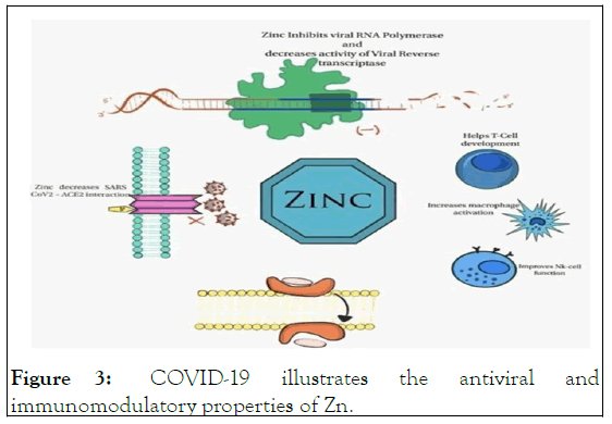 jnfs-antiviral