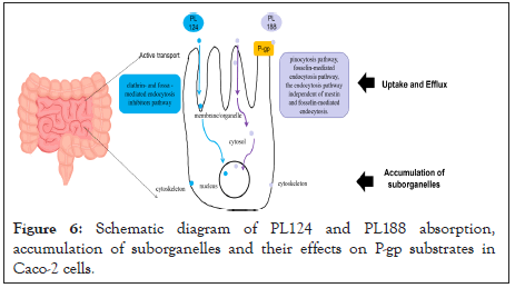 journal-drug-diagram