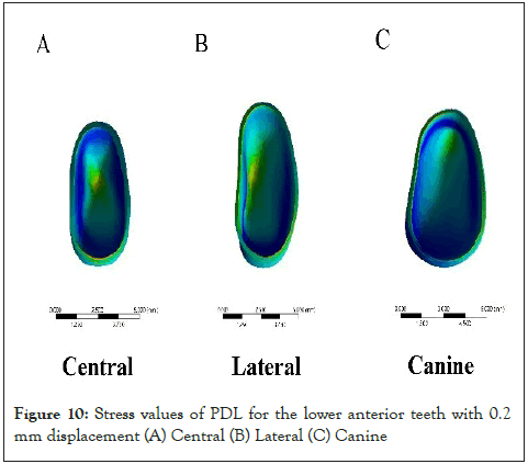 journal-odontology-canine