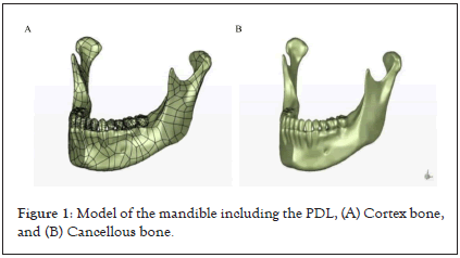 journal-odontology-model