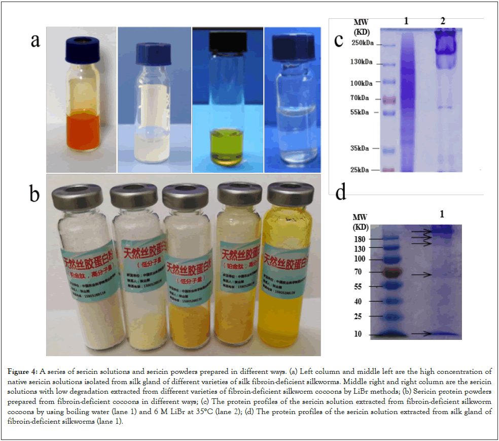 journal-pharmacological-sericin