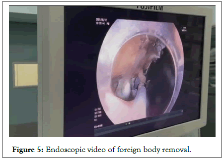 journal-pharmacological-video