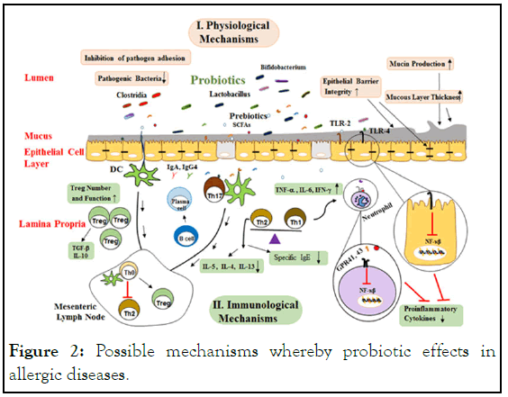 jph-Possible