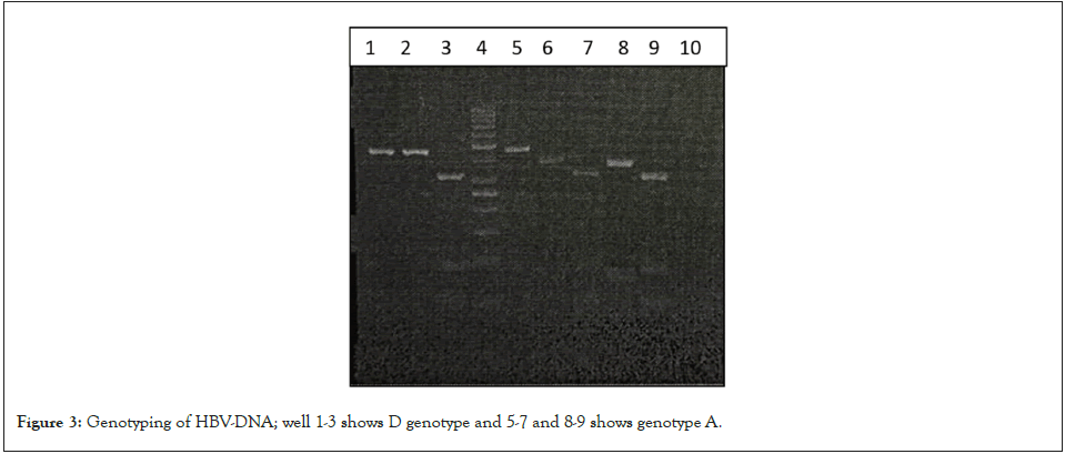 medical-diagnostic-genotype