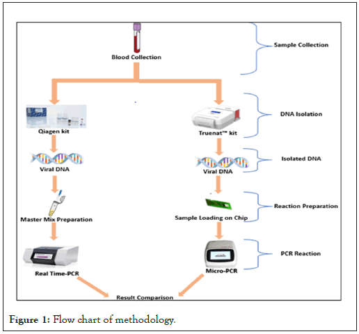 medical-diagnostic-methodology