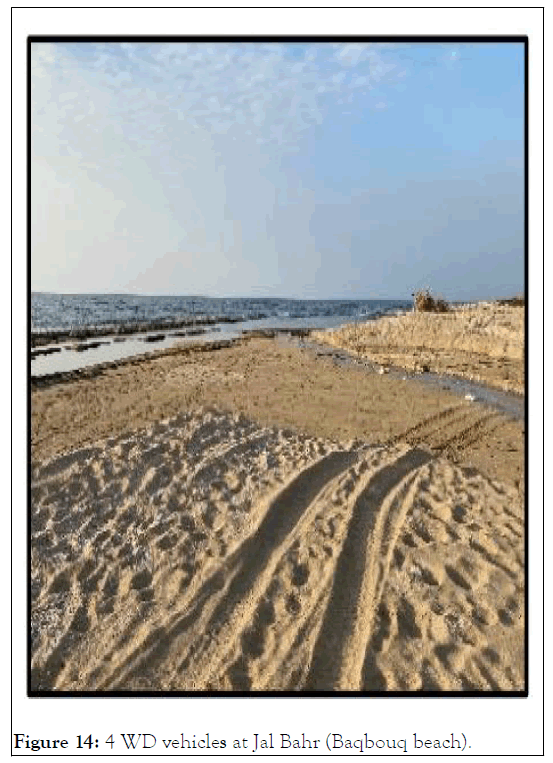 oceanography-baqbouq-beach