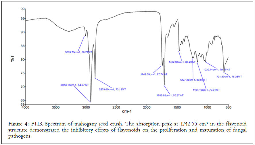 FTIR