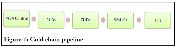 pharmaceutical-care-chain