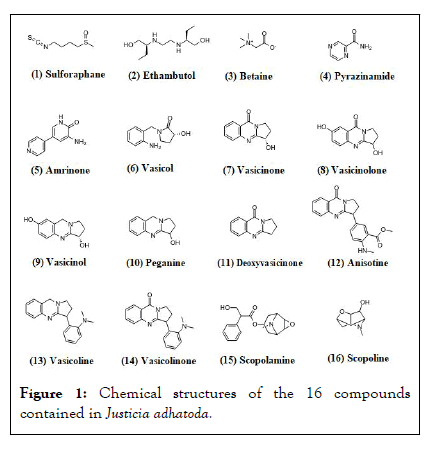 physical-medicine-chem