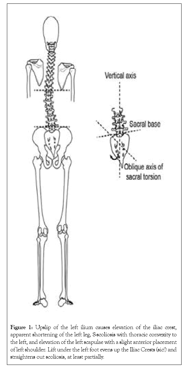 physical-medicine-elevation