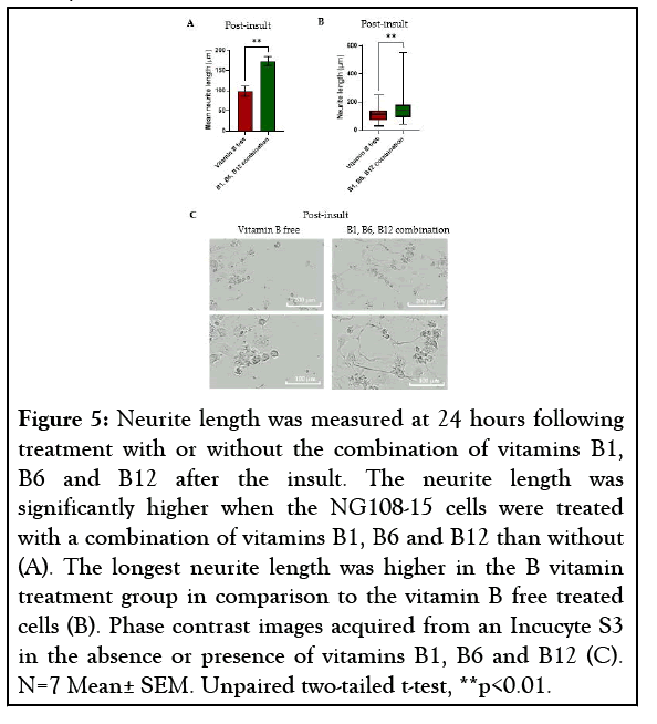 physical-medicine-neurite