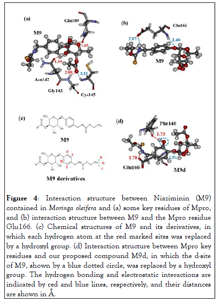 physical-medicine-structure