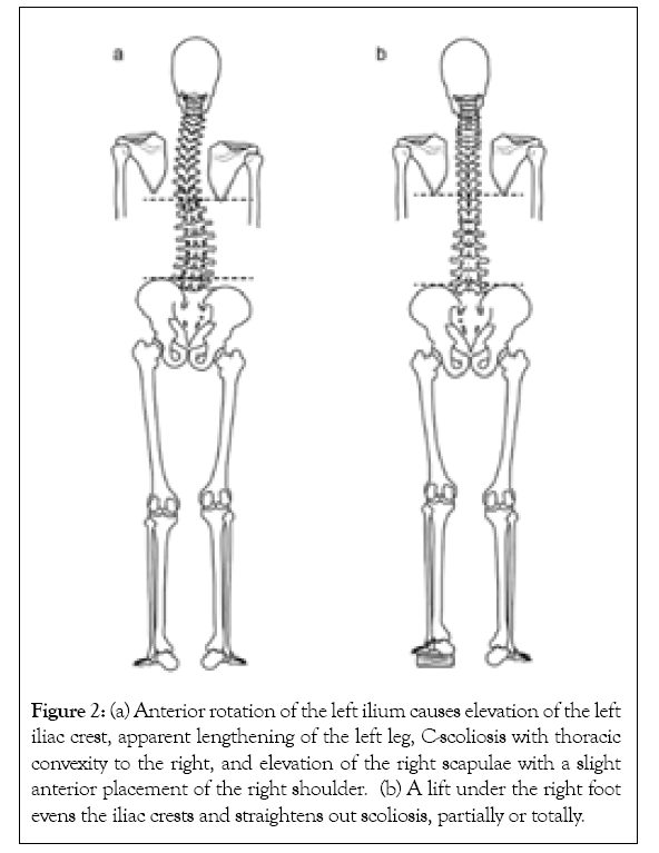 physical-medicine-thoracic