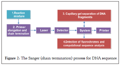 Sanger