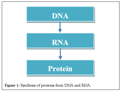 Synthesis