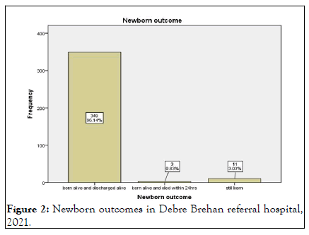 reproductive-system-debre