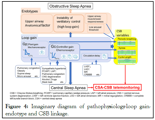 endotype