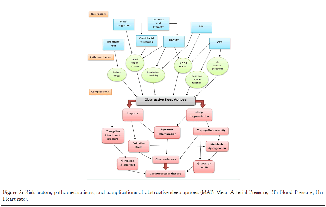 pathomechanisms