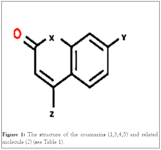 theoretical-coumarins