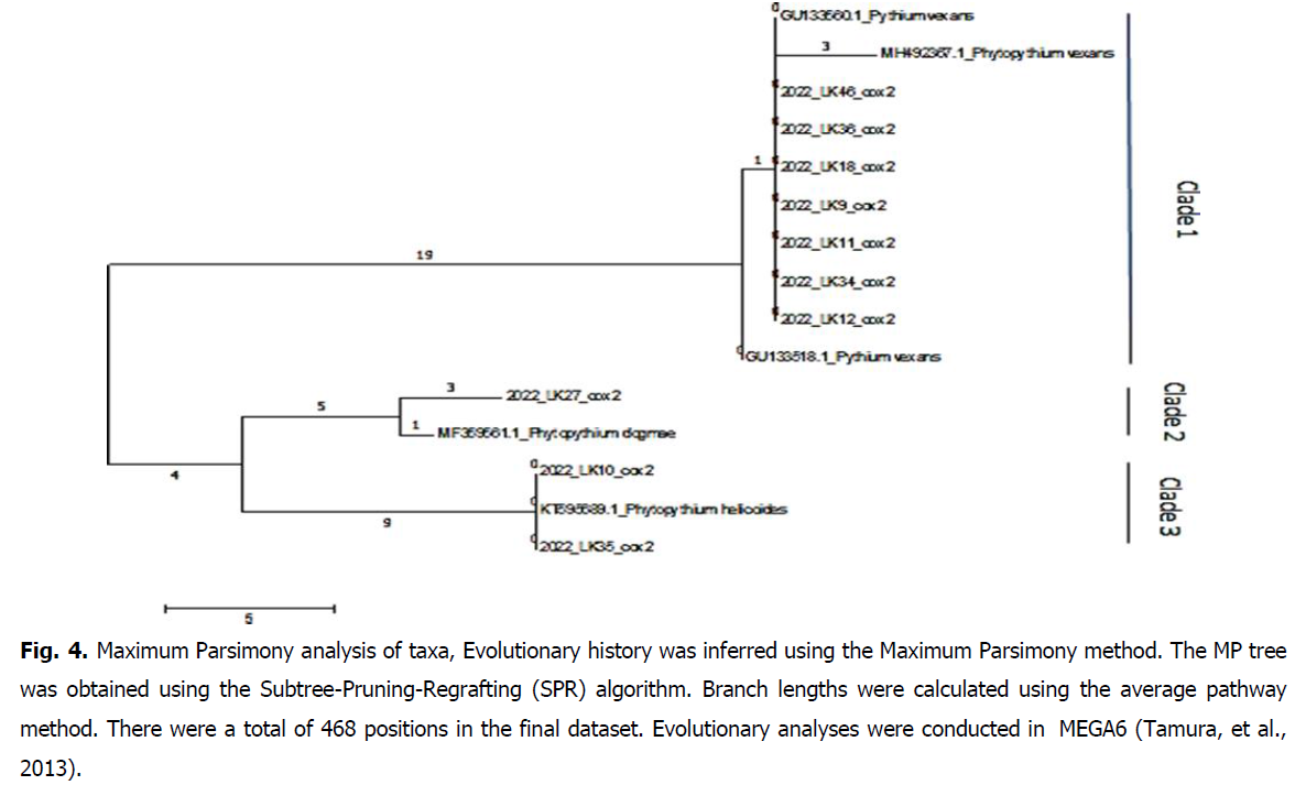 ukrainian-journal-ecology-algorithm