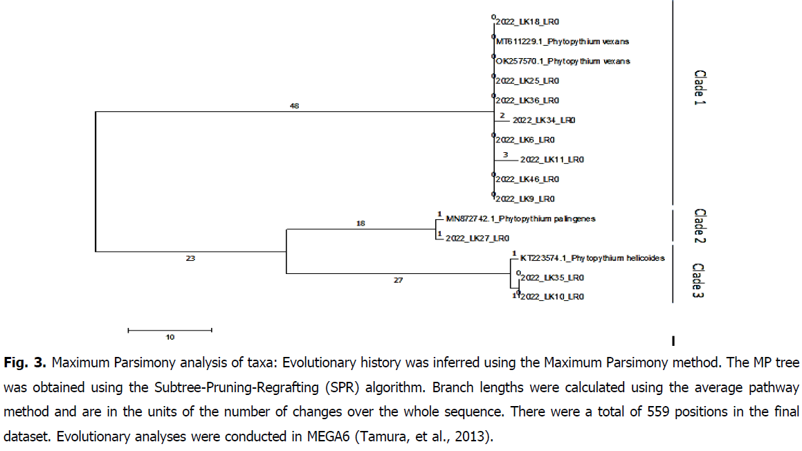 ukrainian-journal-ecology-parsimony