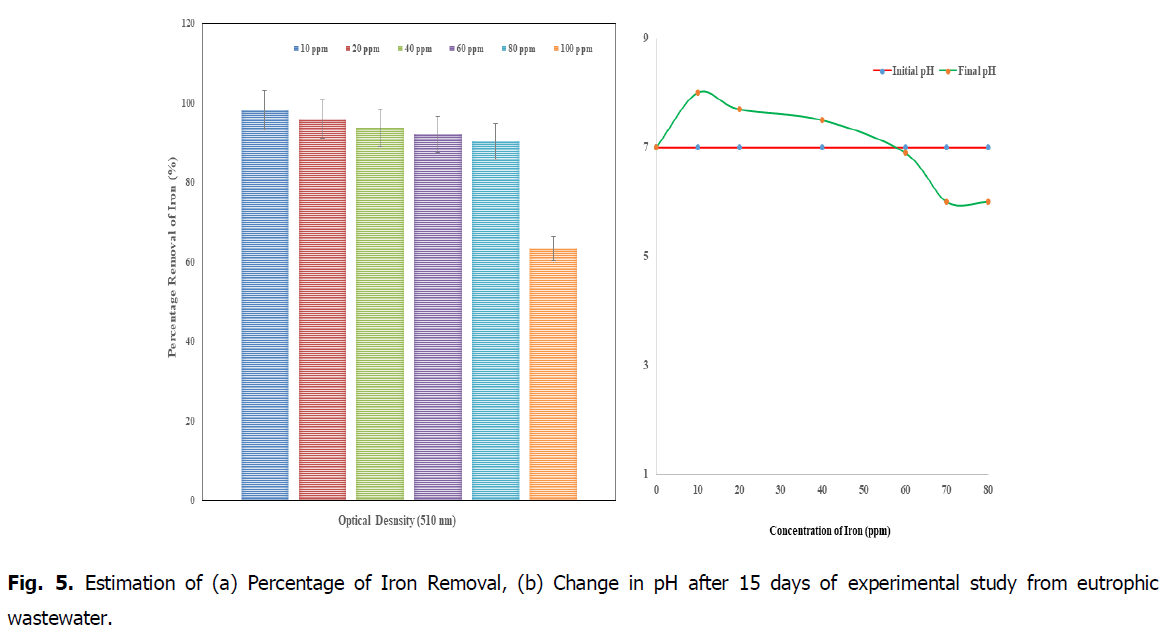 ukrainian-journal-ecology-percentage