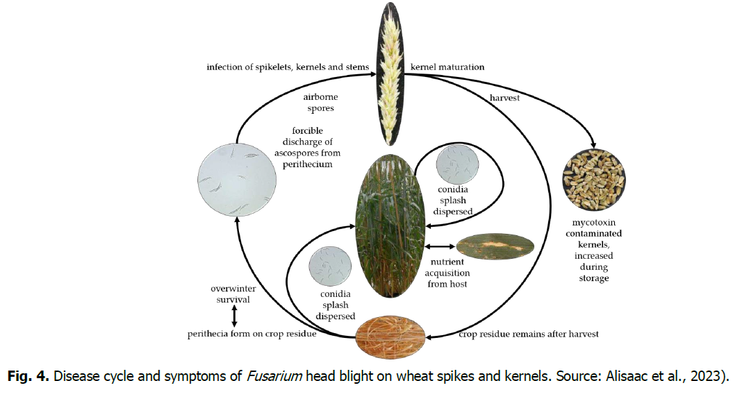 ukrainian-journal-ecology-symptoms