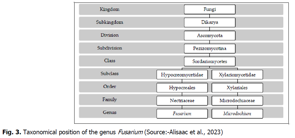 ukrainian-journal-ecology-taxonomical