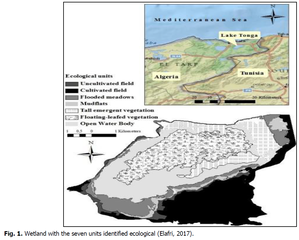 ukrainian-journal-ecology-wetland