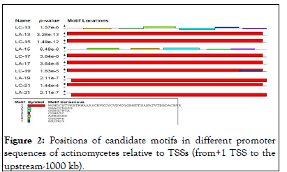 virology-mycology-candidate