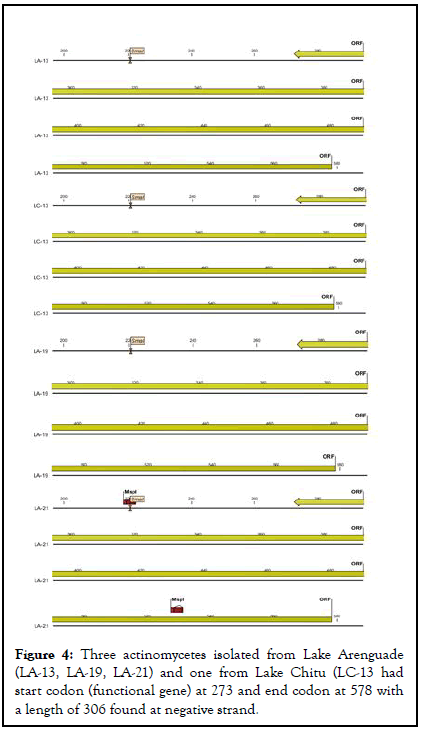 virology-mycology-strand