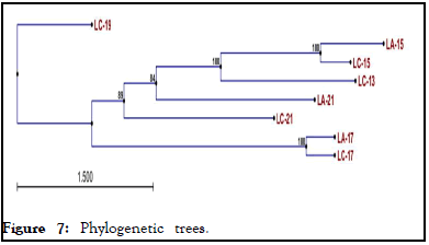 virology-mycology-tree