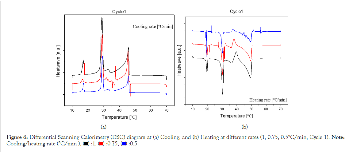 Calorimetry