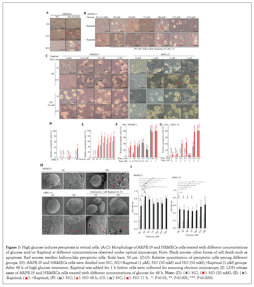 pyroptosis