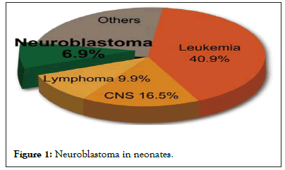 Neuroblastoma