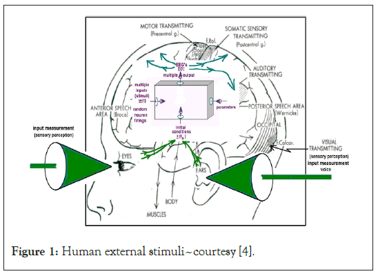 stimuli