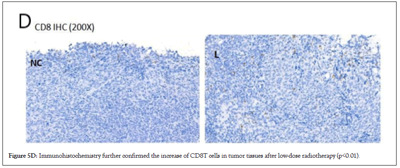 Immunohistochemistry