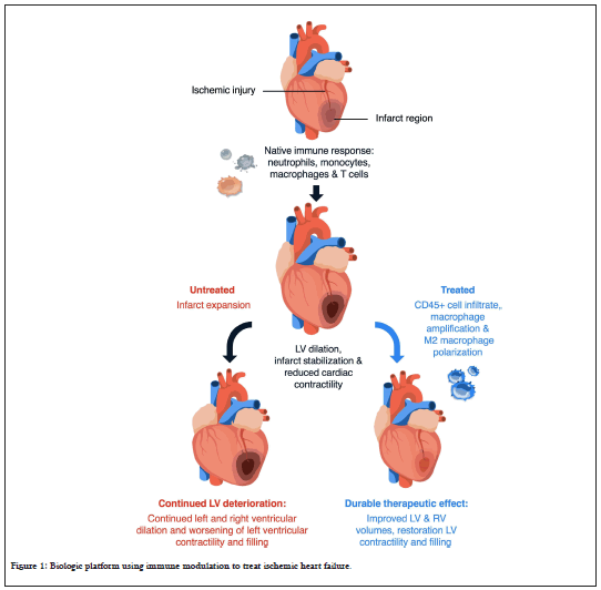 ischemic