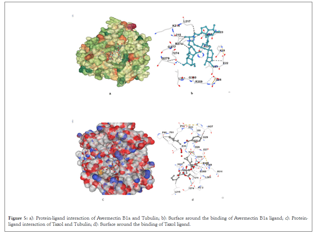 ligand