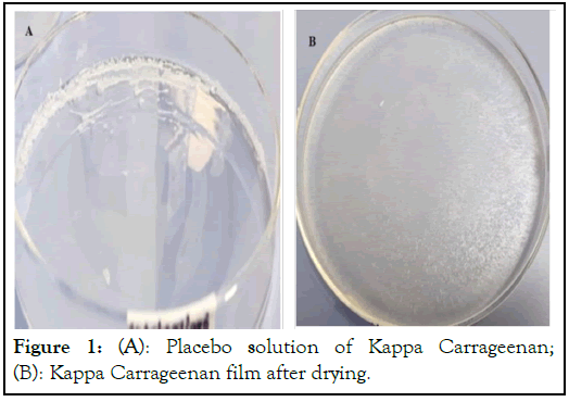 physical-medicine-rehabilitation-Carrageenan