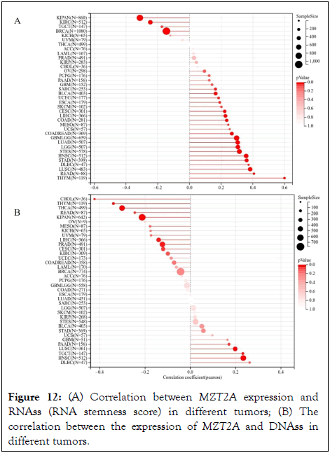 Immunome-Research